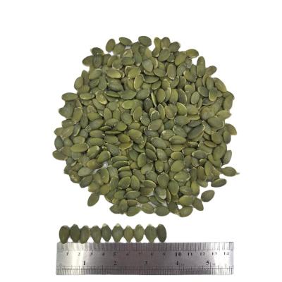 China Agriculture Pumpkin Seed Kernel Extract Dry Powder for sale