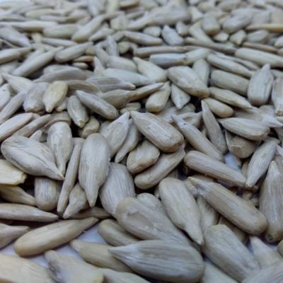 China Dried Hulled Sunflower Seed Kernel Bakery Top Grade for sale