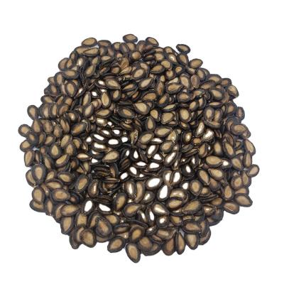 China Hot Sale China Dried Black Watermelon Seeds for sale