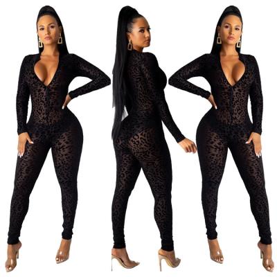 China Elegant Color Women Breathable Transparent Mesh Night Club 2021 Leopard Rompers Ladies Overalls Leopard Print Rompers for sale