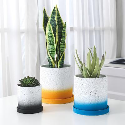 China China Contemporary High Quality Wholesale Custom Cheap Potted Plant Spotted White Flower Ceramic Pots Planter for sale