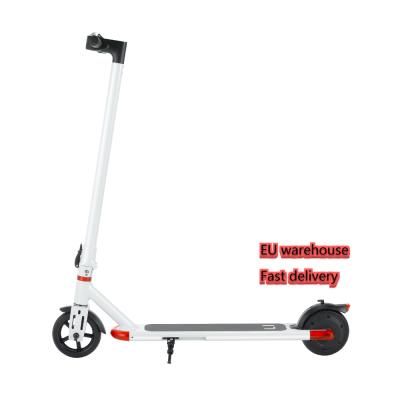 China Unisex Factory Electric Scooter Adult 6.5inch 24V Electric Scooter for sale