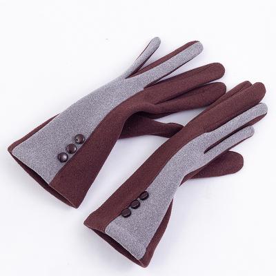 China Fashion Comfortable Lady Winter Cloth Patch Soft Touch Screen Gloves for sale