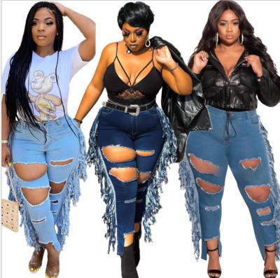 China Other Fahion Style Hallow- Casual Straight Tassel Denim Female Plus Size Jeans Women Plus Size Jeans for sale