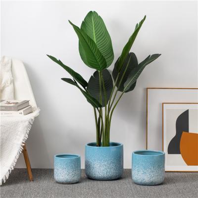 China Eco-friendly Nordic Modern Multicolor Succulent Pot Cylinder Style Flower Plant Ceramic Plant Pots for sale