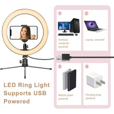 China PORTABLE High Quality Warm Cold Light Mix Live Streaming Led Ring Light Color Customized Live Light Available for sale