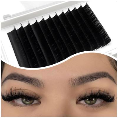 China Feather Abonnie 020 d curl slit tip ellipse lashes lash extensions premium matte flat ellipse lashes matte flat lashes for sale