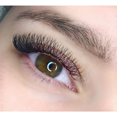 China 2020 100% Handmade Faux Mink Natural Soft Cheap Volumes .05mm Pre Fans 5d Lashes Fans Heat-bonded Eyelash Extensions for sale