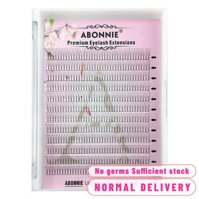 China Abonnie Natural Soft Size Big Size Hot Sellers Private Label 3D Eyelash Extension Pre Made Fans for sale