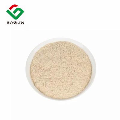 China Organic Psyllium Husk Powder Fiber Supplement for health care for sale