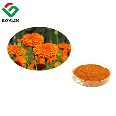 China Water Soluble Pharmaceutical 95% Eye Vitamin Lutein Powder For Food for sale