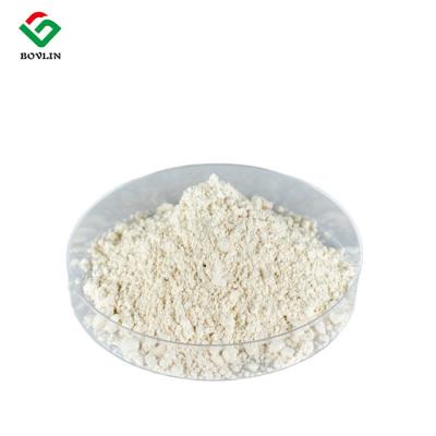 China 100 Pure CAS 501-36-0 Trans Resveratrol Powder For Anti Aging for sale