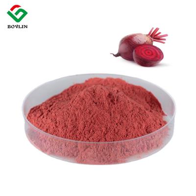 China Nourishing Blood And Stomach Organic Red Beet Powder As Food Additives for sale