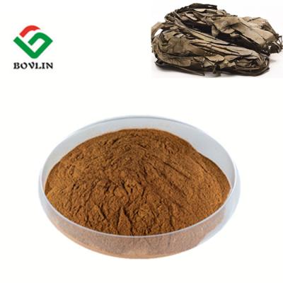 China Bolin Body Vitality Improving Kacip Fatimah Powder Medical Level for sale