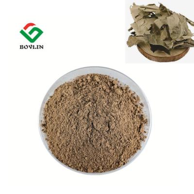 China 100:1 Kacip Fatimah Extract for sale