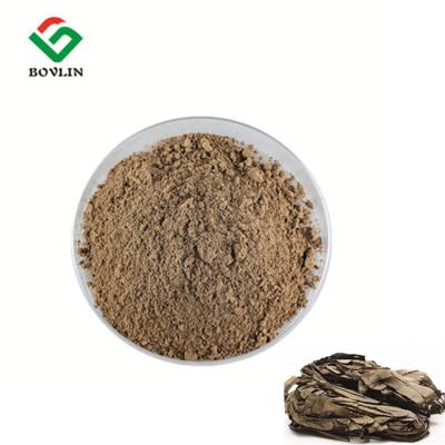 China Pharmaceutical 100:1 Kacip Fatimah Extract For Women And Men for sale