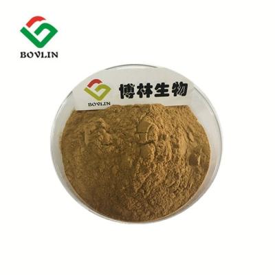 China Aphrodisiac Power Breast Enhancement 20:1 Kacip Fatimah Extract for sale