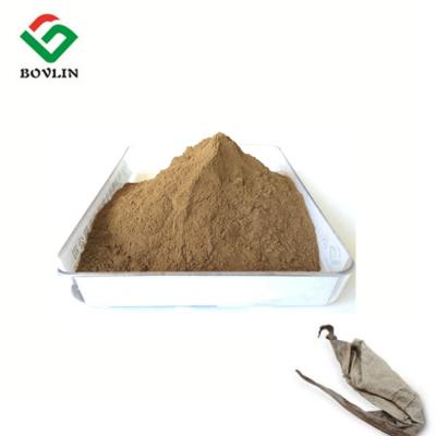 China KOSHER Standard Brown Yellow 10:1 Kacip Fatimah Extract From Leaf for sale