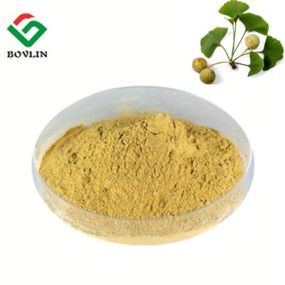 China 80 Mesh Ginkgo Biloba Extract Powder for sale