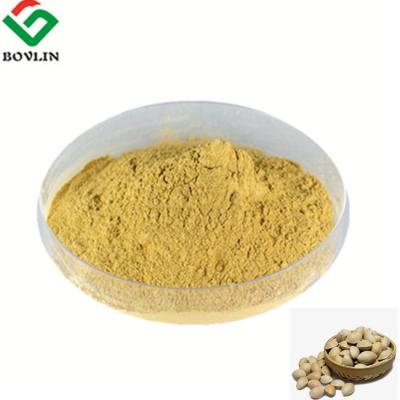 China Antioxidant 10:1 Ginkgo Biloba Standardized Extract Form Nuts for sale