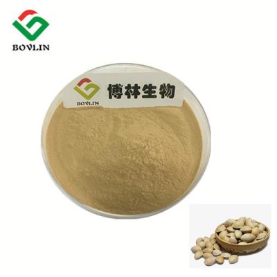 China Brain Memory Use Tree Nuts Ginkgo Biloba Powder For Health Care for sale