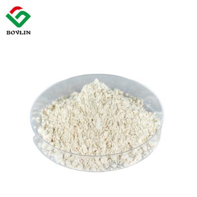 China Natural Anti inflammatory Trans Resveratrol Powder For Healthcare for sale