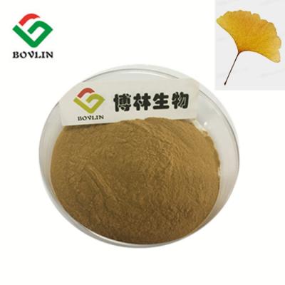 China Heart Attack Prevention 10:1 80 Mesh Ginkgo Biloba Leaf Powder Anti Stroke for sale