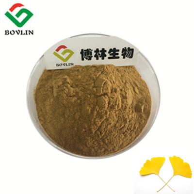 China Flavone 24% Life Extension Ginkgo Biloba Extract Powder , Ginkgo Biloba Bulk Powder for sale