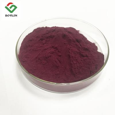 China Pharmaceutical Vitamin A Natural Pigment Powder From Black Carrot for sale