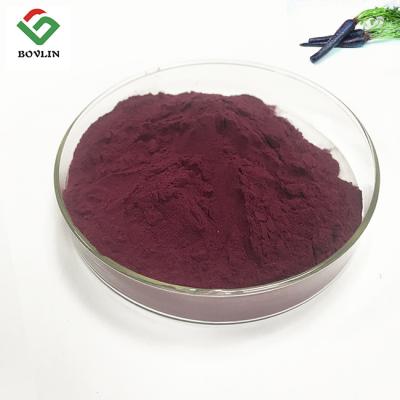 China Food Grade Pure Black Carrot Anthocyanins Oluble In Polar Solvents for sale