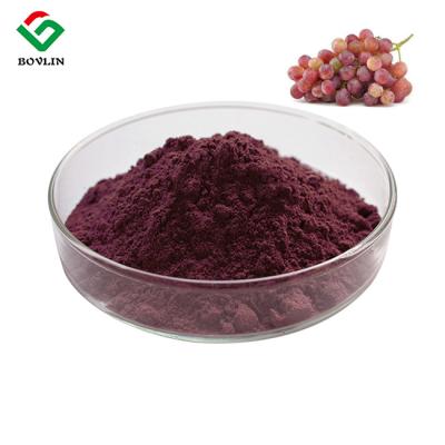 China Food Coloring Edible CAS 11029-12-2 Natural Pigment Powder Grape Skin Extract for sale