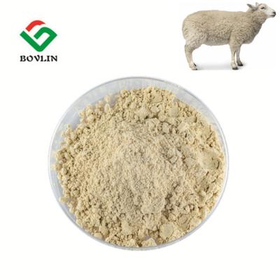 China Nutritional Supplements Powder Sheep Placenta Supplement For Immunity for sale