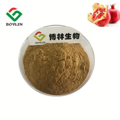 China Brown Organic Fruit And Vegetable Powder Cosmetics Pomegranate Peel Extract for sale