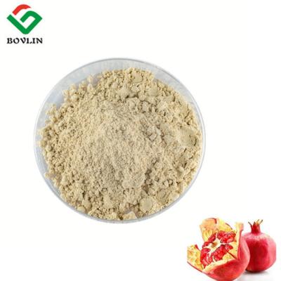 China Ellagic Acid Natural Pomegranate Extract Powder Hemostatic Detoxifying for sale