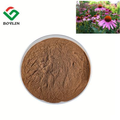 China Nutritional Natural Feed Additives Echinacea Angustifolia Root Extract for sale