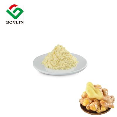 China Fresh Organic Fruit And Vegetable Powder Ginger Powder CAS 8002-60-6 For Health Care for sale