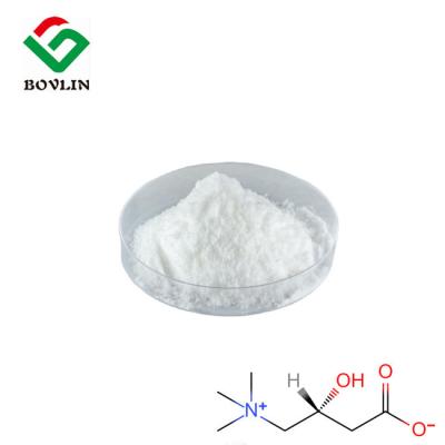 China HPLC Nutritional Supplement L Carnitine Powder Weight Loss for sale