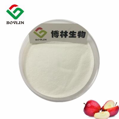 China Fragrance Organic Food Additives Apple Fruit Flavor Powder TLC for sale