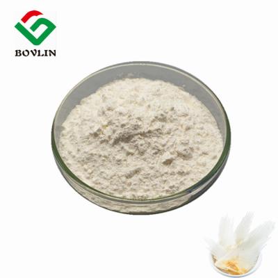 China 90% Glycosaminoglycan Organic Food Additives Shark Chondroitin Powder CAS 9007-28-7 for sale