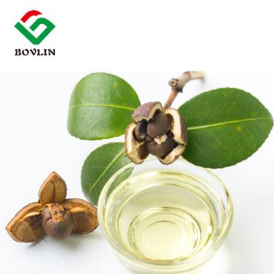 China CAS 225233-97-6 Cosmetic Grade Camellia Seed Oil For Skin Hair for sale