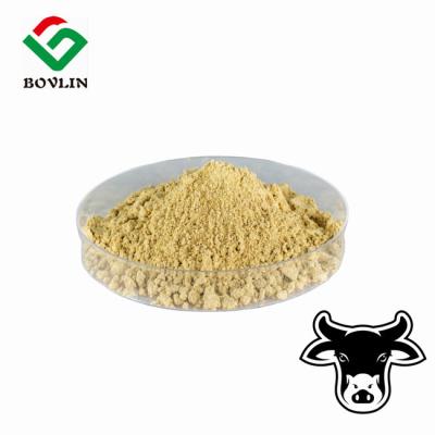 China Bovine Skin Collagen Peptides Powder Food Grade for sale