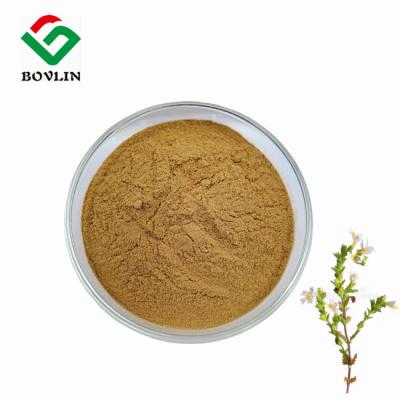 China CAS 84625-36-5 Millet Grass Extract Powder For Eyes for sale