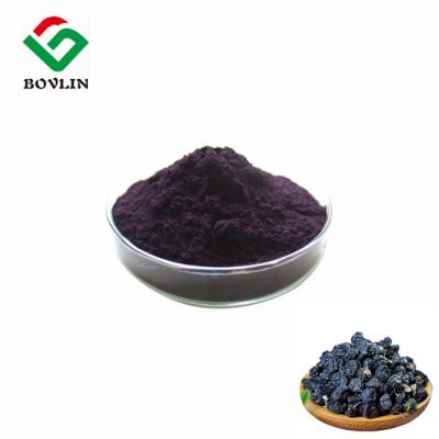 China Herb Supplement Black Goji Extract Anthocyanin Powder 5% for sale