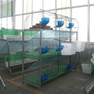 China Modern Commercial Galvanized Farms 9 Position Mother And Baby Wire Rabbit Farm Animal Cage for sale