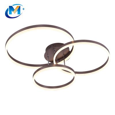 China Home Hall Ceiling Light Living Room Bedroom Led Circle Creative Modern Luxury Golden Artistic Hot Sale Products Decoration Light for sale