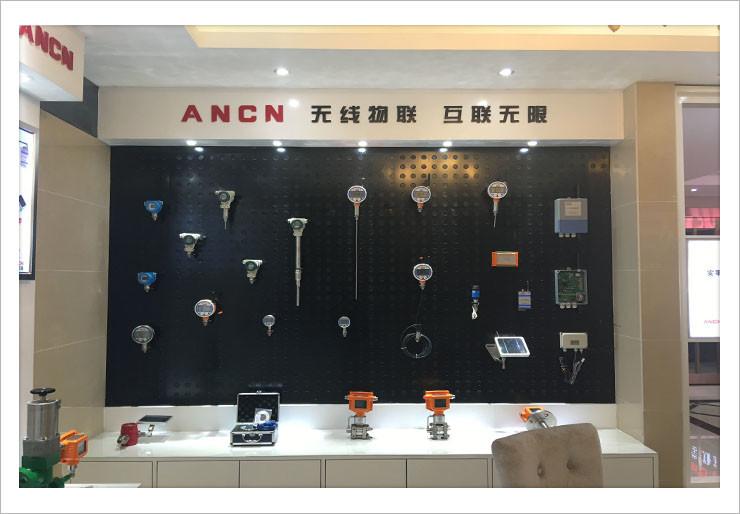 確認済みの中国サプライヤー - Xi'an ANCN Smart Instrument Inc.