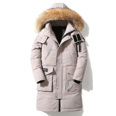 China Anti-wrinkle autumn and winter 2022 thickened down detachable hat length medium men's jacket for sale