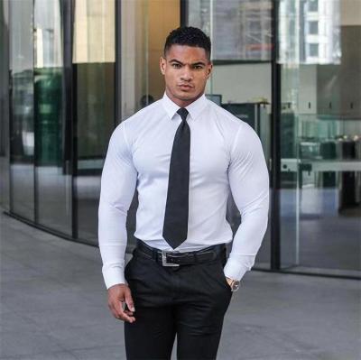 China Anti-Shrink Muscle Sporty Men's Fitness Shirt High Elastic Long Sleeve Without Iron Fitted Large Casual for sale