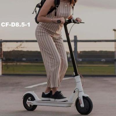 China Unisex Boys Electric Scooter 150w 250w 300w 36v Electric Scooter For Teenagers for sale