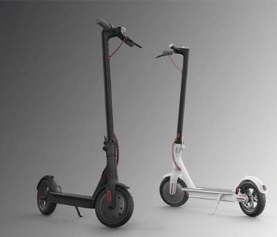 China Unisex Most Popular Electric Scooter 36v Battery Kick 2 Wheel Foldable Electric Scooter with 250w 300w Motor for Youth for sale